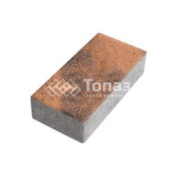 Тротуарная плитка 200х100х80, сомон