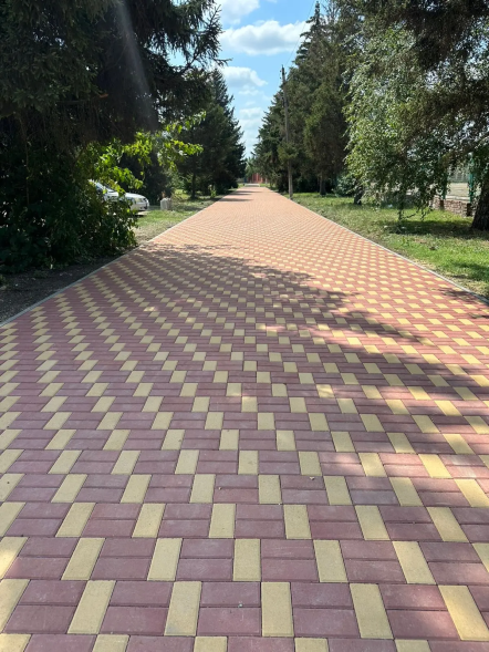 Тротуарная плитка 200х100х40, желтая